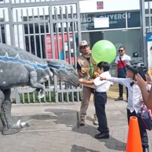Dino visita express
